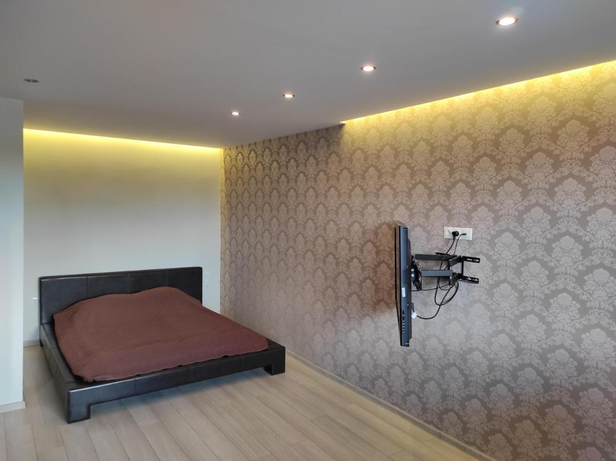 Studija Centre Apartment Klaipeda Bagian luar foto